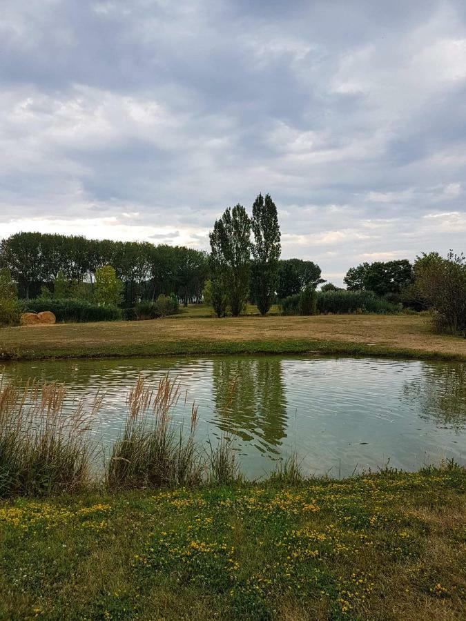 Eliza 1 Birdland Golf Apartman Bük Zewnętrze zdjęcie