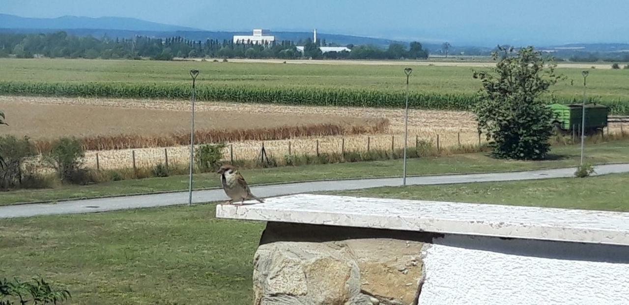 Eliza 1 Birdland Golf Apartman Bük Zewnętrze zdjęcie